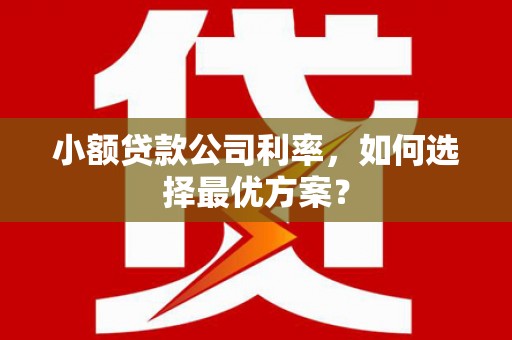 陆川小额贷款公司利率，如何选择最优方案？