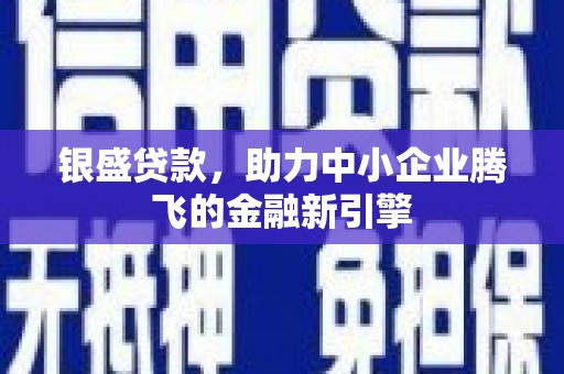 陆川银盛贷款，助力中小企业腾飞的金融新引擎