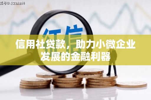 陆川信用社贷款，助力小微企业发展的金融利器