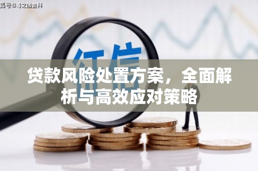 陆川贷款风险处置方案，全面解析与高效应对策略