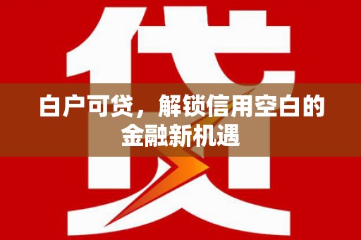 陆川白户可贷，解锁信用空白的金融新机遇