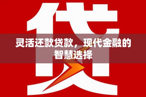 陆川灵活还款贷款，现代金融的智慧选择