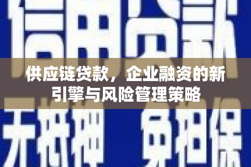 陆川供应链贷款，企业融资的新引擎与风险管理策略