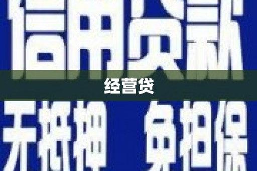 陆川经营贷
