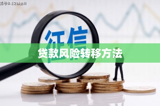 陆川贷款风险转移方法