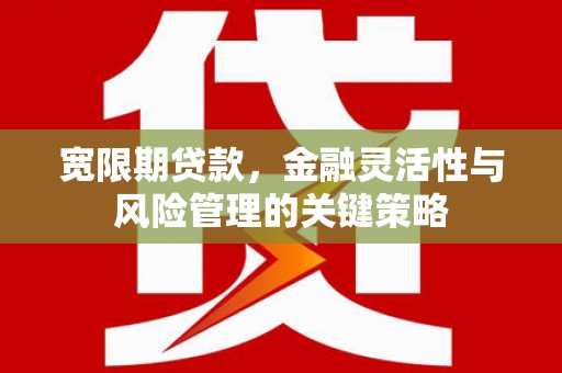 陆川宽限期贷款，金融灵活性与风险管理的关键策略