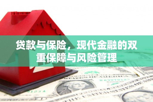 陆川贷款与保险，现代金融的双重保障与风险管理