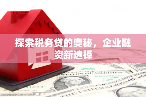 陆川探索税务贷的奥秘，企业融资新选择
