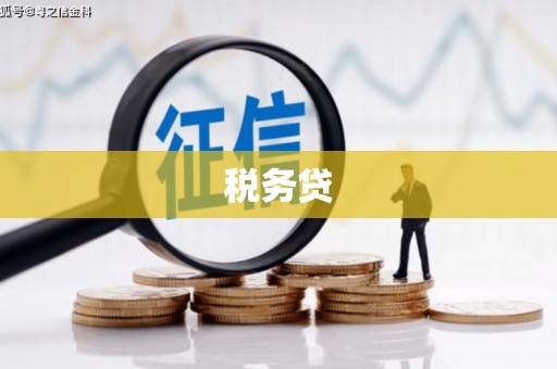 陆川税务贷
