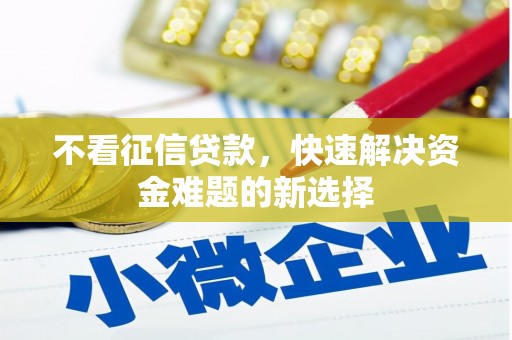 陆川不看征信贷款，快速解决资金难题的新选择