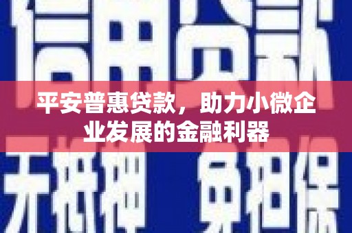 陆川平安普惠贷款，助力小微企业发展的金融利器