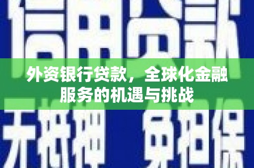 陆川外资银行贷款，全球化金融服务的机遇与挑战