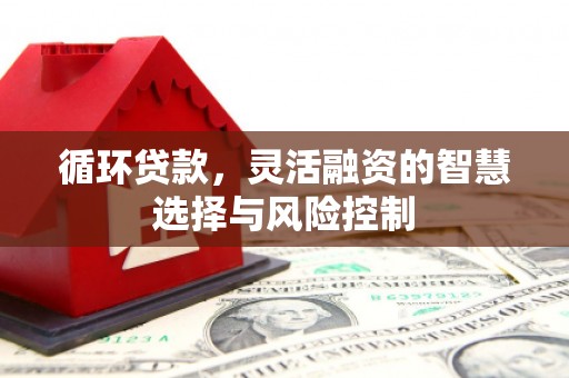 陆川循环贷款，灵活融资的智慧选择与风险控制