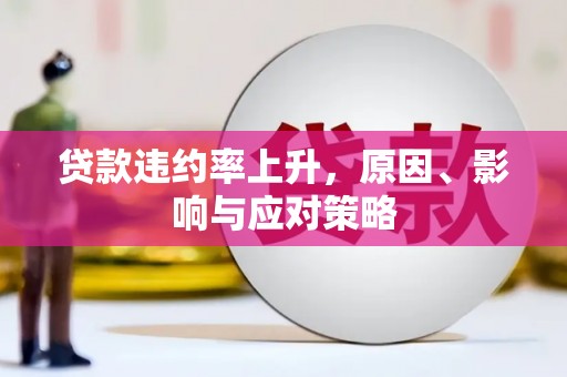陆川贷款违约率上升，原因、影响与应对策略