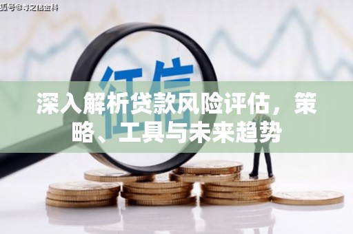 陆川深入解析贷款风险评估，策略、工具与未来趋势