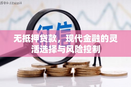 陆川无抵押贷款，现代金融的灵活选择与风险控制