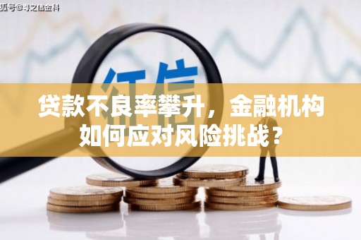 陆川贷款不良率攀升，金融机构如何应对风险挑战？