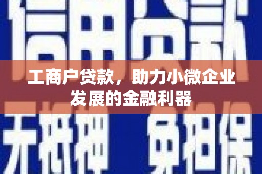陆川工商户贷款，助力小微企业发展的金融利器