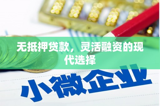 陆川无抵押贷款，灵活融资的现代选择