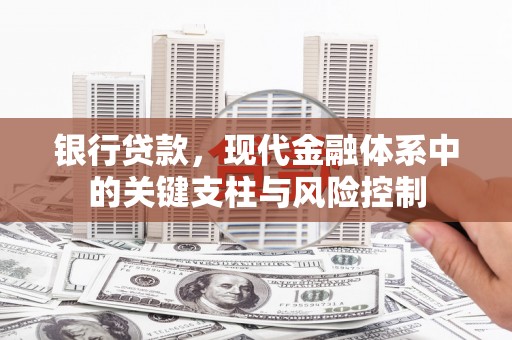 陆川银行贷款，现代金融体系中的关键支柱与风险控制