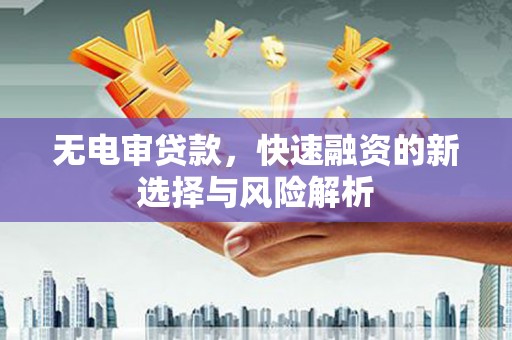 陆川无电审贷款，快速融资的新选择与风险解析