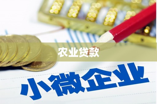 陆川农业贷款