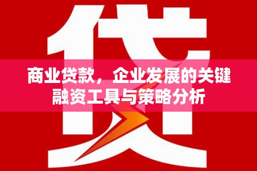 陆川商业贷款，企业发展的关键融资工具与策略分析