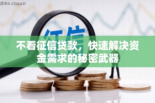 陆川不看征信贷款，快速解决资金需求的秘密武器