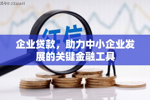 陆川企业贷款，助力中小企业发展的关键金融工具