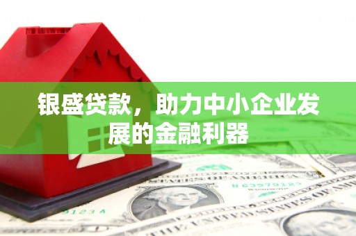陆川银盛贷款，助力中小企业发展的金融利器