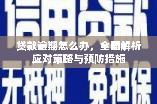 陆川贷款逾期怎么办，全面解析应对策略与预防措施