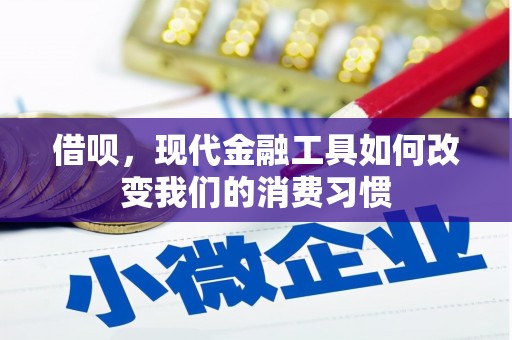 陆川借呗，现代金融工具如何改变我们的消费习惯