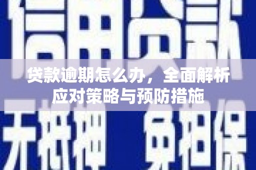 陆川贷款逾期怎么办，全面解析应对策略与预防措施