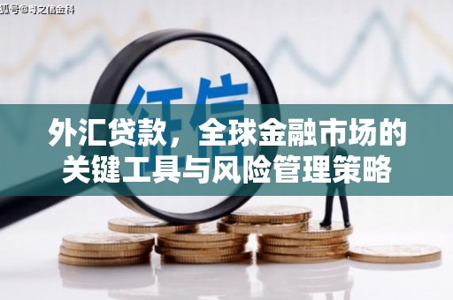 陆川外汇贷款，全球金融市场的关键工具与风险管理策略