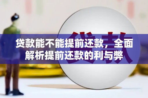 陆川贷款能不能提前还款，全面解析提前还款的利与弊