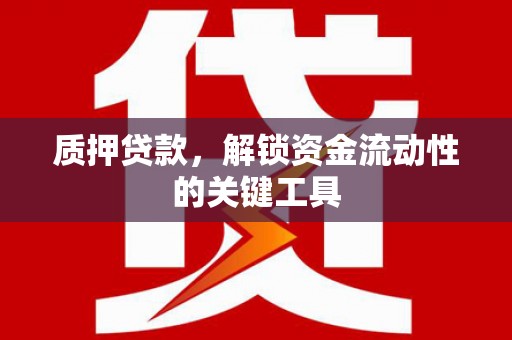 陆川质押贷款，解锁资金流动性的关键工具