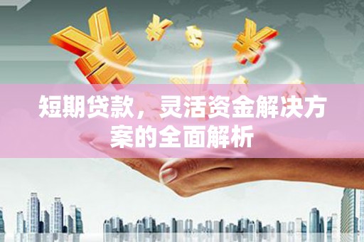 陆川短期贷款，灵活资金解决方案的全面解析