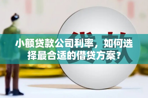 陆川小额贷款公司利率，如何选择最合适的借贷方案？