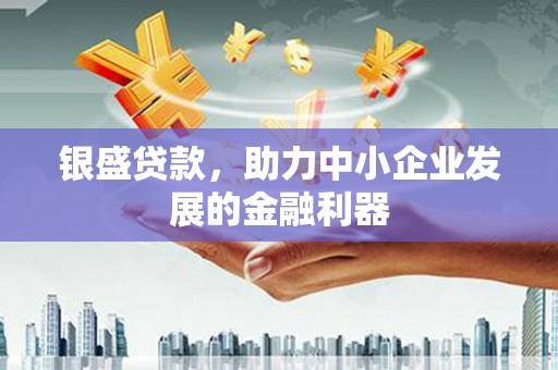 陆川银盛贷款，助力中小企业发展的金融利器