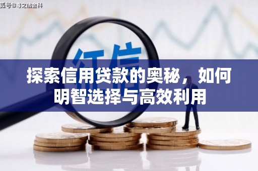 陆川探索信用贷款的奥秘，如何明智选择与高效利用