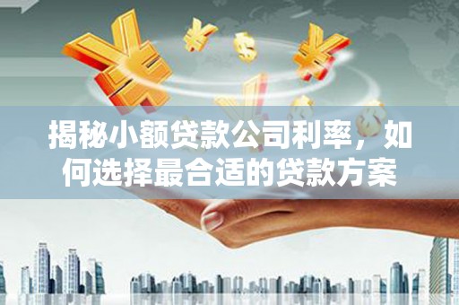 陆川揭秘小额贷款公司利率，如何选择最合适的贷款方案