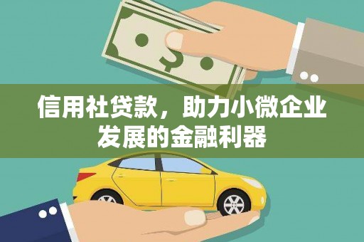 陆川信用社贷款，助力小微企业发展的金融利器