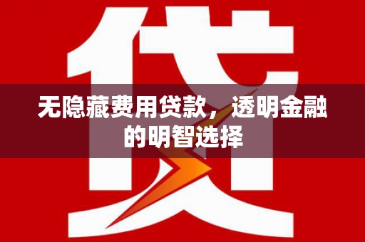 陆川无隐藏费用贷款，透明金融的明智选择