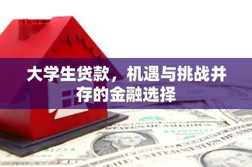 陆川大学生贷款，机遇与挑战并存的金融选择