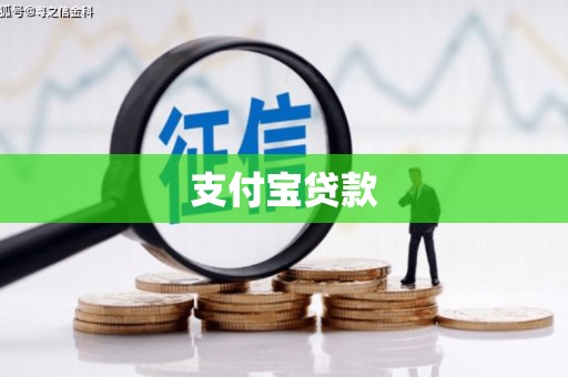 陆川支付宝贷款