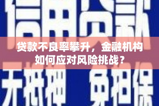 陆川贷款不良率攀升，金融机构如何应对风险挑战？