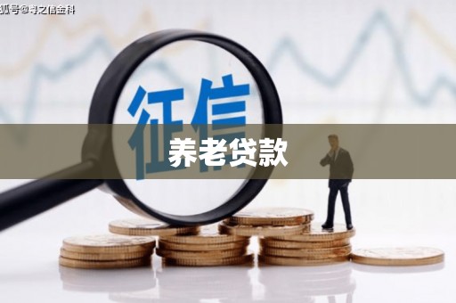 陆川养老贷款