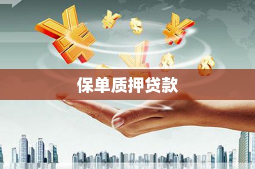 陆川保单质押贷款