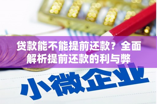 陆川贷款能不能提前还款？全面解析提前还款的利与弊