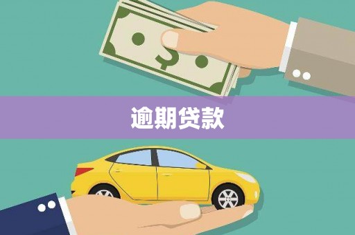 陆川逾期贷款